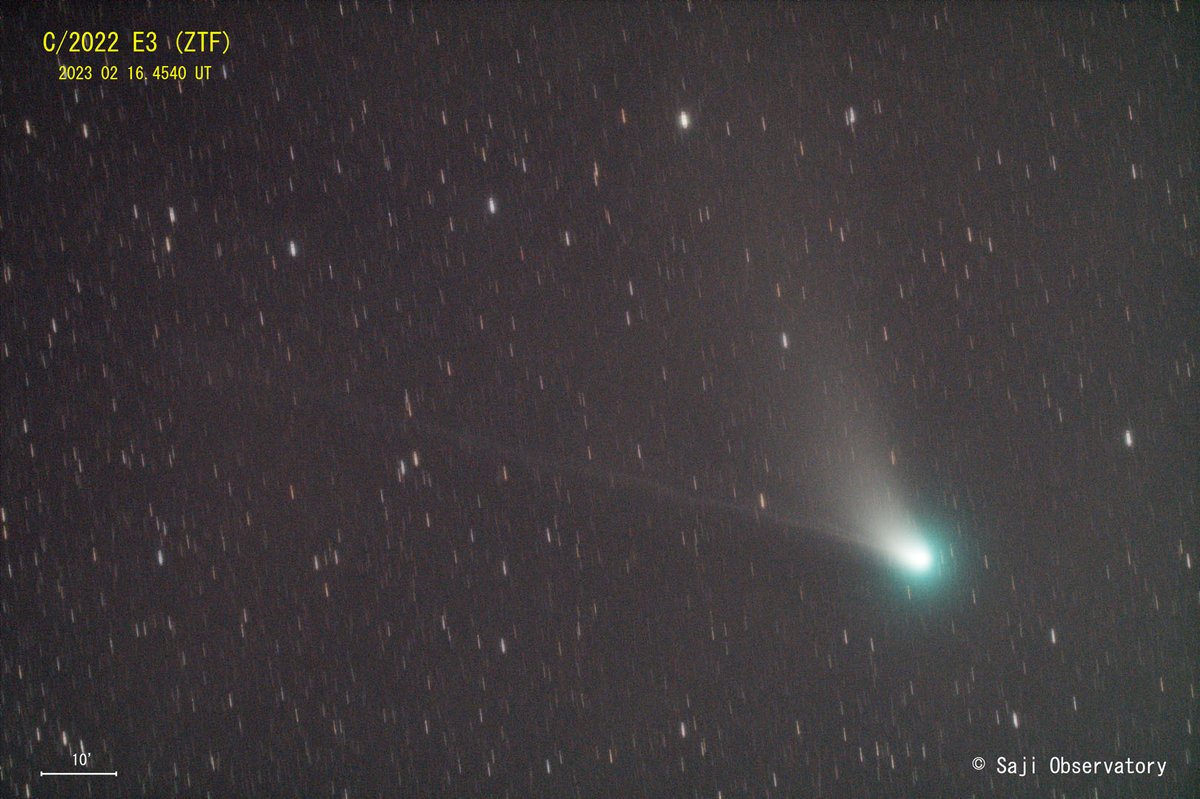 2月16日夜は快晴に恵まれましたので、またまた #ZTF彗星 を狙いました。少し暗くなってきましたが（約7等）、上にゆるやかにカーブするダストの尾、左方向へ細長く伸びるイオンの尾が良いバランスで写りました。#さじアストロパーク #星取県 #鳥取市 #cometztf