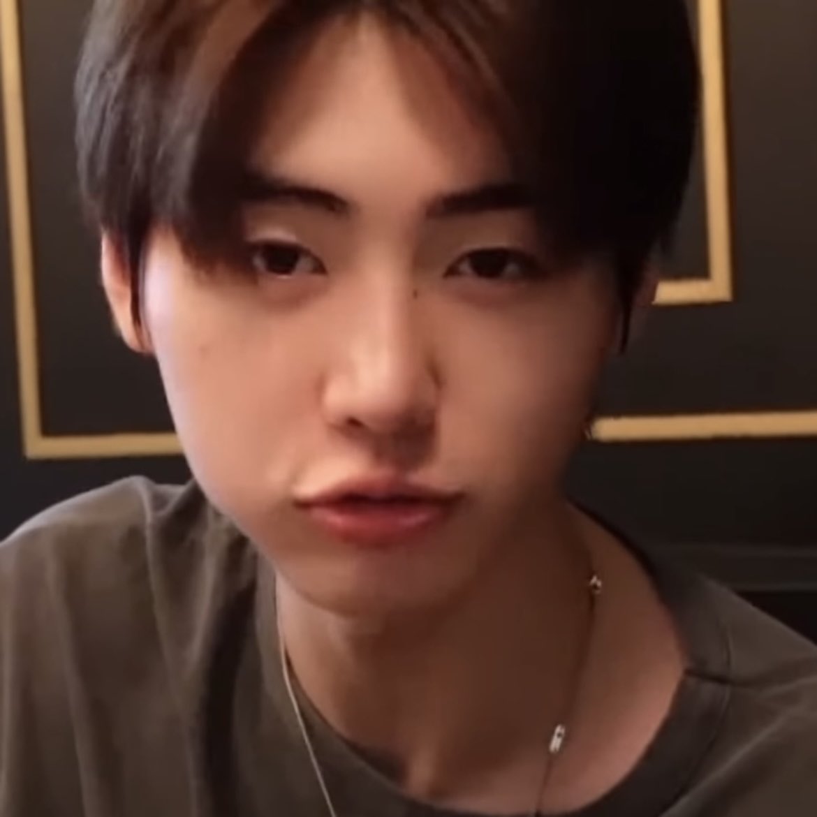 퍼피 tweet media