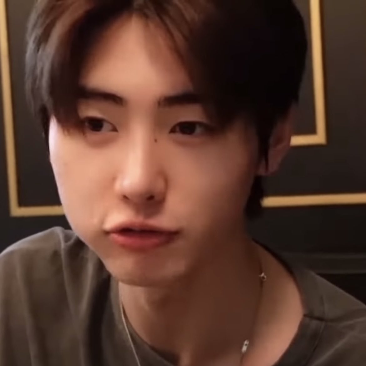 퍼피 tweet media