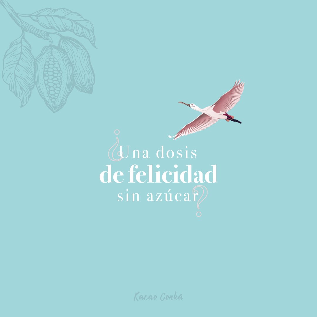 KacaoConka's tweet photo. 🍫¿Una dosis de Felicidad Sin azúcar? https://t.co/lhXUOif2VR