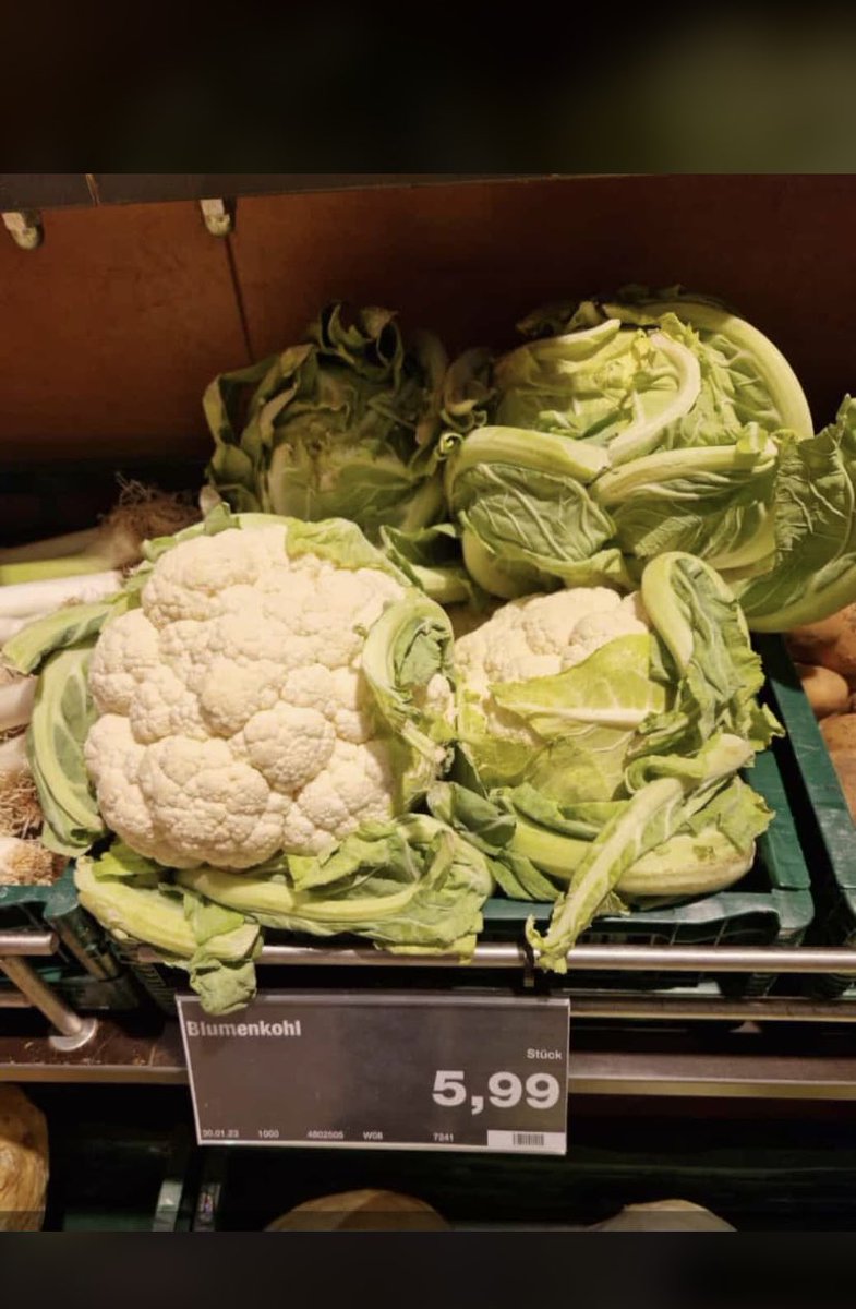 ThomasKubsch's tweet photo. Sind das weiße Trüffel? #edeka https://t.co/M75FLxiTQy