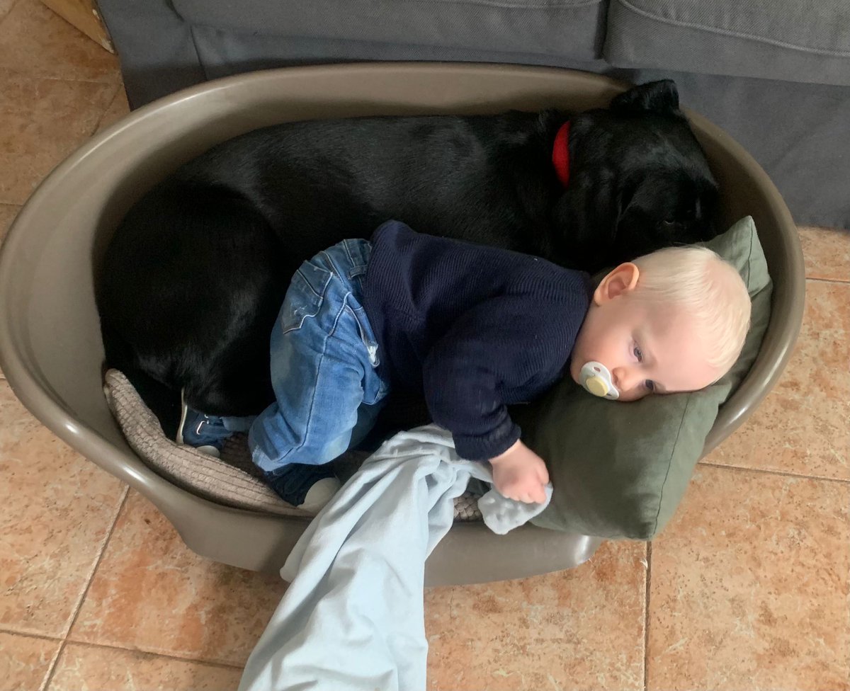 🎉 Hola #GenteGente, ¡feliz viernes! 🎉

🐶 Hoy abrimos un melón: ¿Mascotas en la cama sí✅o no❌?

📲 Envíanos un mensaje de audio: 607150602

💞 Este es el hijo de una oyente, en este caso él es el que se mete en la cama del perro 😂👇🏽