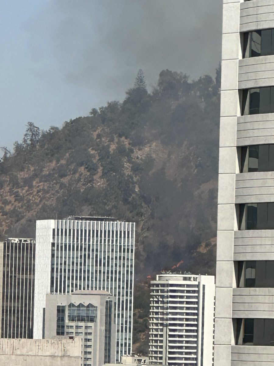 Incendio en ladera de cerro San Cristobal <a href="/parquemetminvu/">Parquemet</a> #IncendioForestal