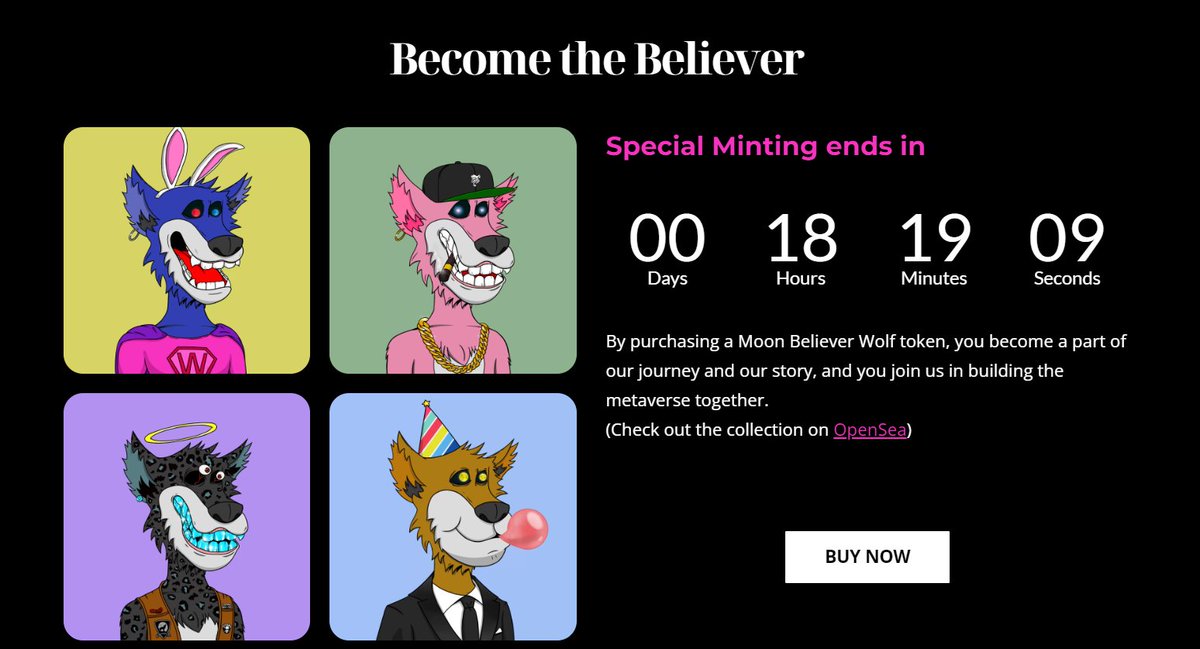 Moon Believerz tweet media