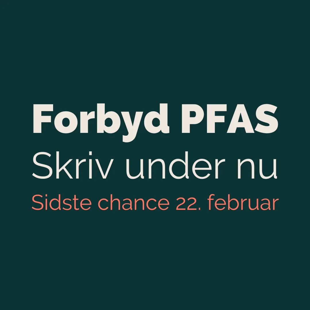 Camilla Udsen (@camillaudsen) on Twitter photo Så er det ved at være sidste chance for at skrive under for et forbud mod PFAS i forbrugerprodukter. Vi har i <a href="/fbrtaenk/">Forbrugerrådet Tænk</a> samlet 73.000 underskrifter, som skal bruges til dialog med miljøministeren og ordførere.
Vi lukker 22/2 kl. 12 🛒💚📝
👉 taenk.dk/skriv-under-pf…
#dkgreen Så er det ved at være sidste chance for at skrive under for et forbud mod PFAS i forbrugerprodukter. Vi har i <a href="/fbrtaenk/">Forbrugerrådet Tænk</a> samlet 73.000 underskrifter, som skal bruges til dialog med miljøministeren og ordførere.
Vi lukker 22/2 kl. 12 🛒💚📝
👉 taenk.dk/skriv-under-pf…
#dkgreen