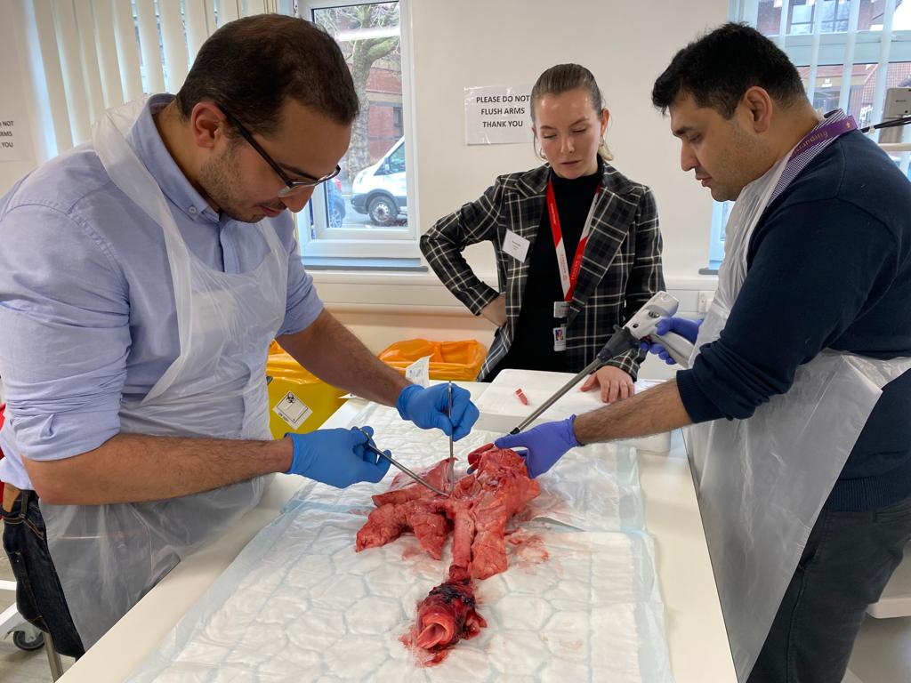 LHCHFT's tweet photo. It's been a great day for our surgical teams in our Sir Ken Dodd Knowledge &amp; Education Centre as 22 junior doctors, registrars &amp; surgical consultants took part in a WetLab Thoracic Study Day.

Thanks to Ethicon &amp; the LHCH team for facilitating such a fascinating day of learning. https://t.co/akFyqQ1Acu