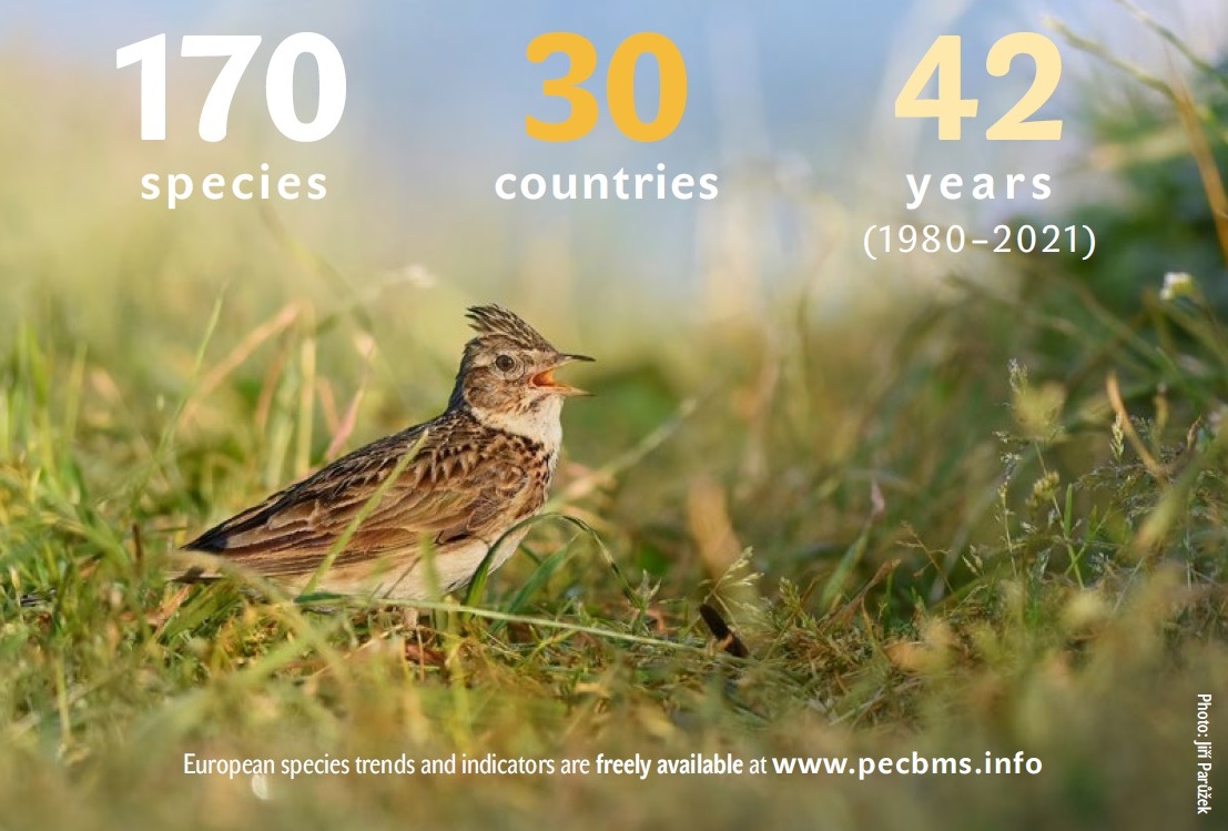 AlenaKlvanova's tweet photo. 12500+ volunteers | 30 countries | 42 years of effort | 170 #bird species
An update of the continent-wide population size changes is out! #PECBMS @_EBCC #ornithology
Paper: https://t.co/FncXr3gcZL
Database: https://t.co/Fr9EGpa6pt https://t.co/XFnWRrt0Rb