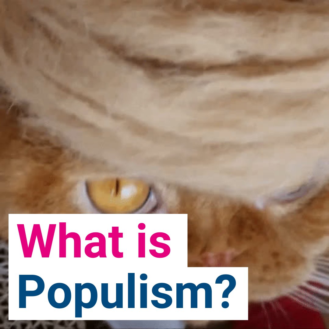 Populism explained in 7 handy tweets! ✨