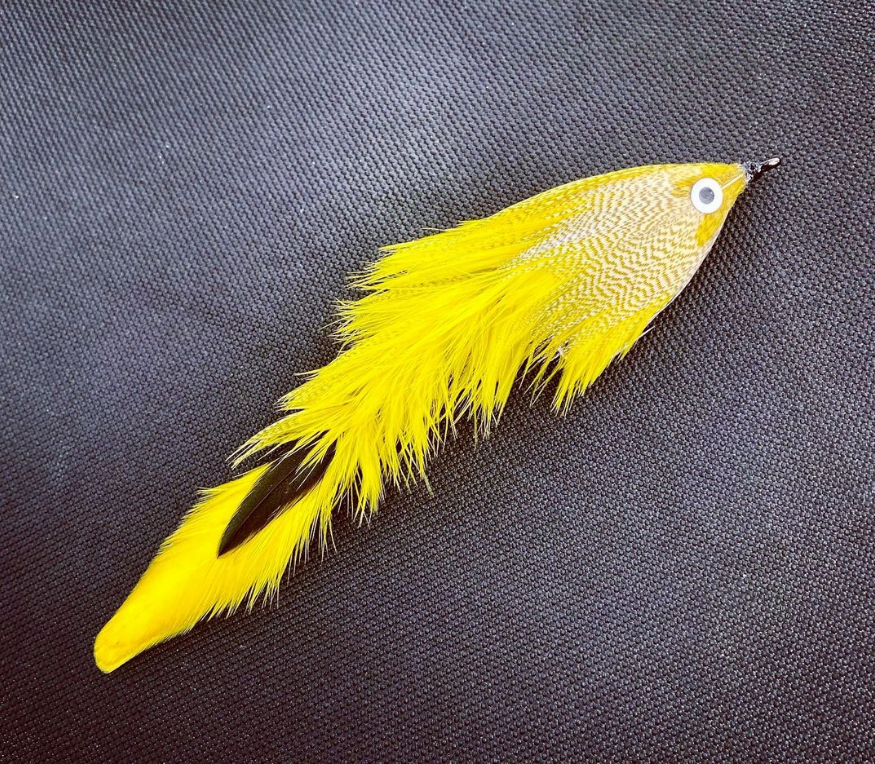 Saltwateronfly's tweet photo. Looks like a banana with eyes,
@va_muddler
4” Quackhead FGC in Banana
.
.
.
#flytyingjunkie
#flyfishingjunkie
#flyfishingaddict
#flytyingaddict
#flyfishingnation
#flyfishing
#flytyingnation
#flytying
#streamerjunkie
#streameraddict
#articulationnation
#gamechangerfly https://t.co/XJPYaEQWCQ