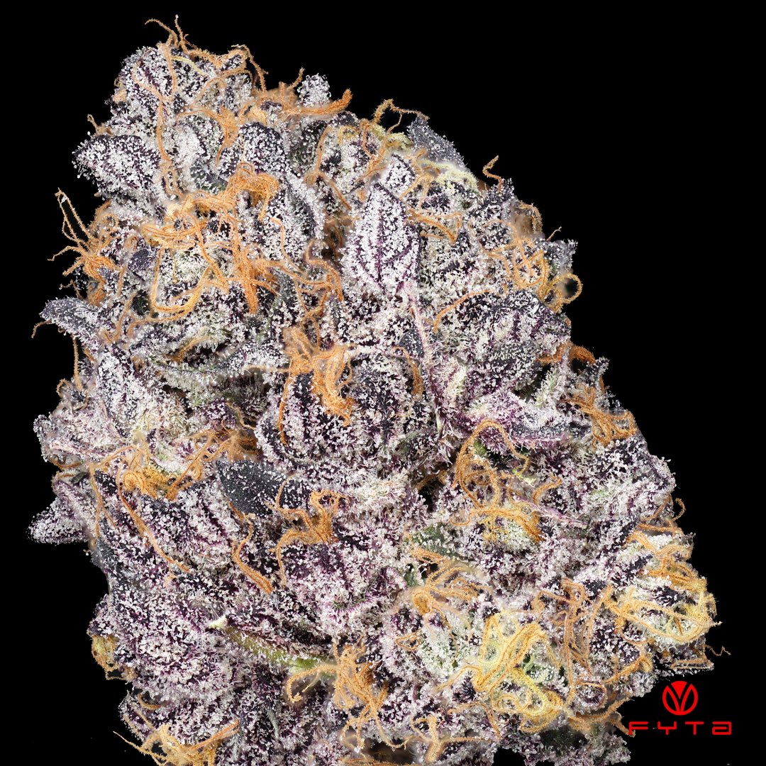 FYTA (Fytagroup) / Twitter