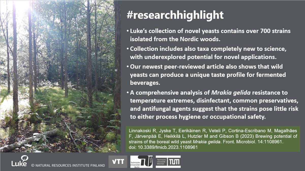 Did you know that wild yeasts from the Nordic woods make great low-alcohol beer? Have a look at our new article! Cheers!🍺@LukeFinlandInt @VTTFinland @TU_Muenchen @TUBerlin #collaboration Brewing potential of strains of the boreal wild yeast Mrakia gelida frontiersin.org/articles/10.33…