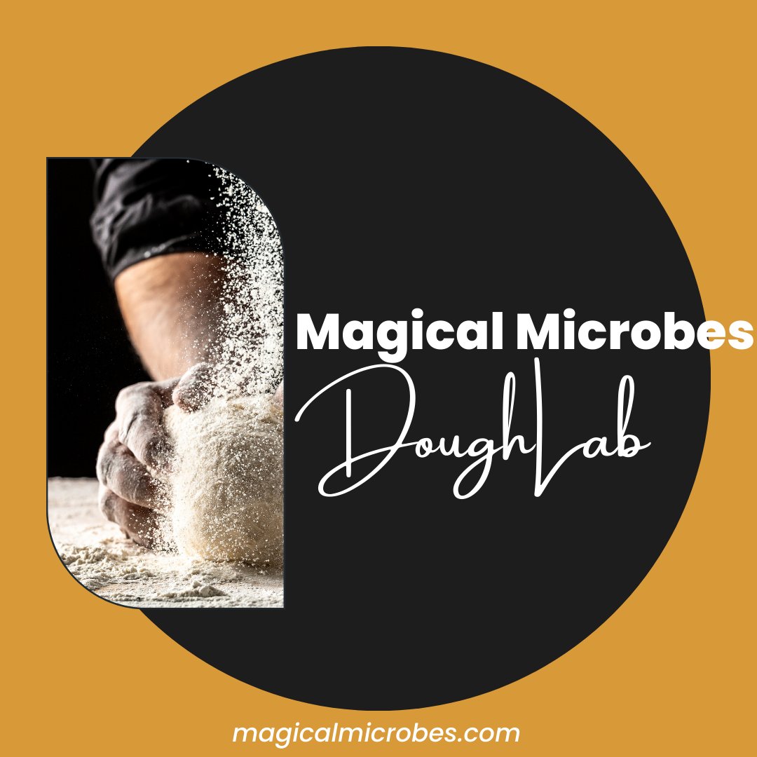 Magical Microbes tweet media