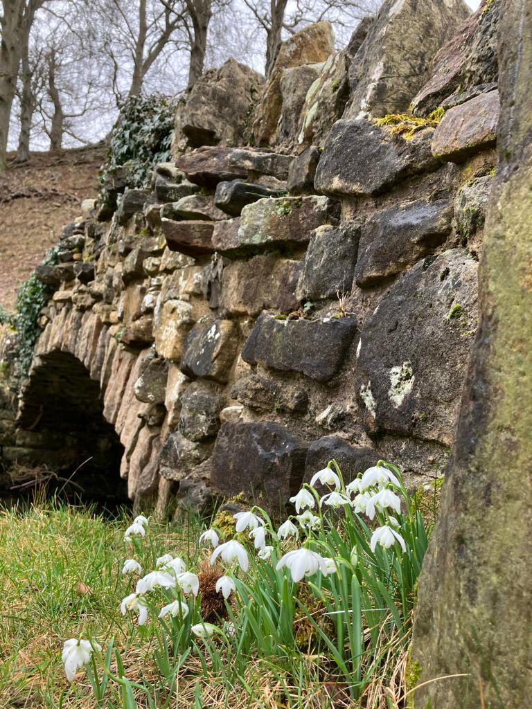 NJeffersonBrown's tweet photo. Happy Friday from #NorthYorkshire folks. Enjoy the weekend when it lands 😊 #snowdrops #weekend #escapetheroutine https://t.co/tIdxtoPOje