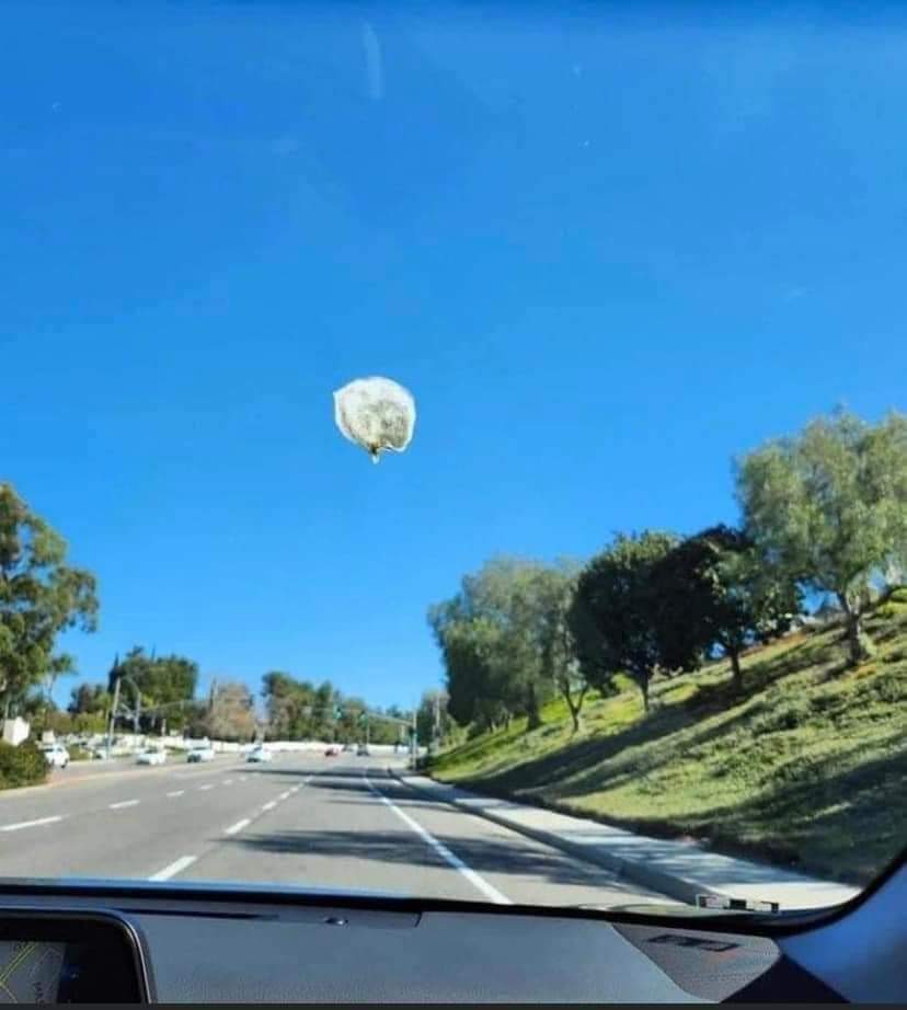 Airforce_3's tweet photo. I followed this Chinese balloon for almost 150km only to realize it was bird poop on my windshield. https://t.co/hHoQ08islz