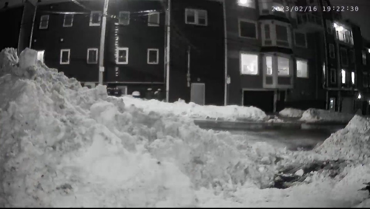 An update: @CityofStJohns directed Mike O'Dea yesterday morning to remove the snow he placed here &amp; this is what the mother fucker did. 

His threatening behaviour does nothing but make me more determined to ensure he's being forced to play by the rules in every single way.