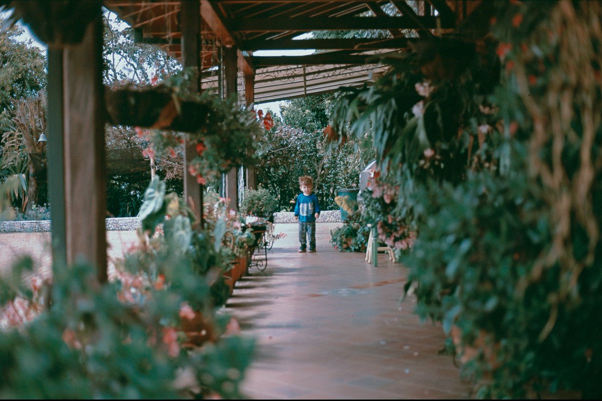rodrigocollazos's tweet photo. #EOS1000f #provia100f  #analogphotography #ishootmorefilm #filmisnotdead #analogoscolombianos #yodisparofilm #shootitwithfilm #filmphotography #loadfilm #filmclubglobal #heyfsc #filmcameratokyo #filmphotohraphy #ishootfilm https://t.co/9NaWPbgHDf