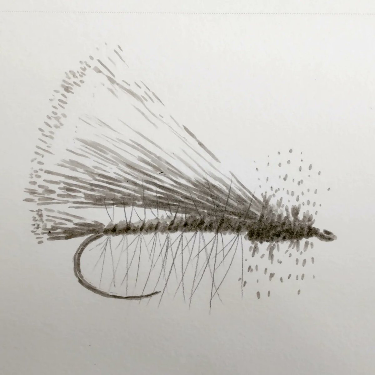 RandRFlyFishing's tweet photo. Dry fly and coffee this morning https://t.co/ogDQyoEue1