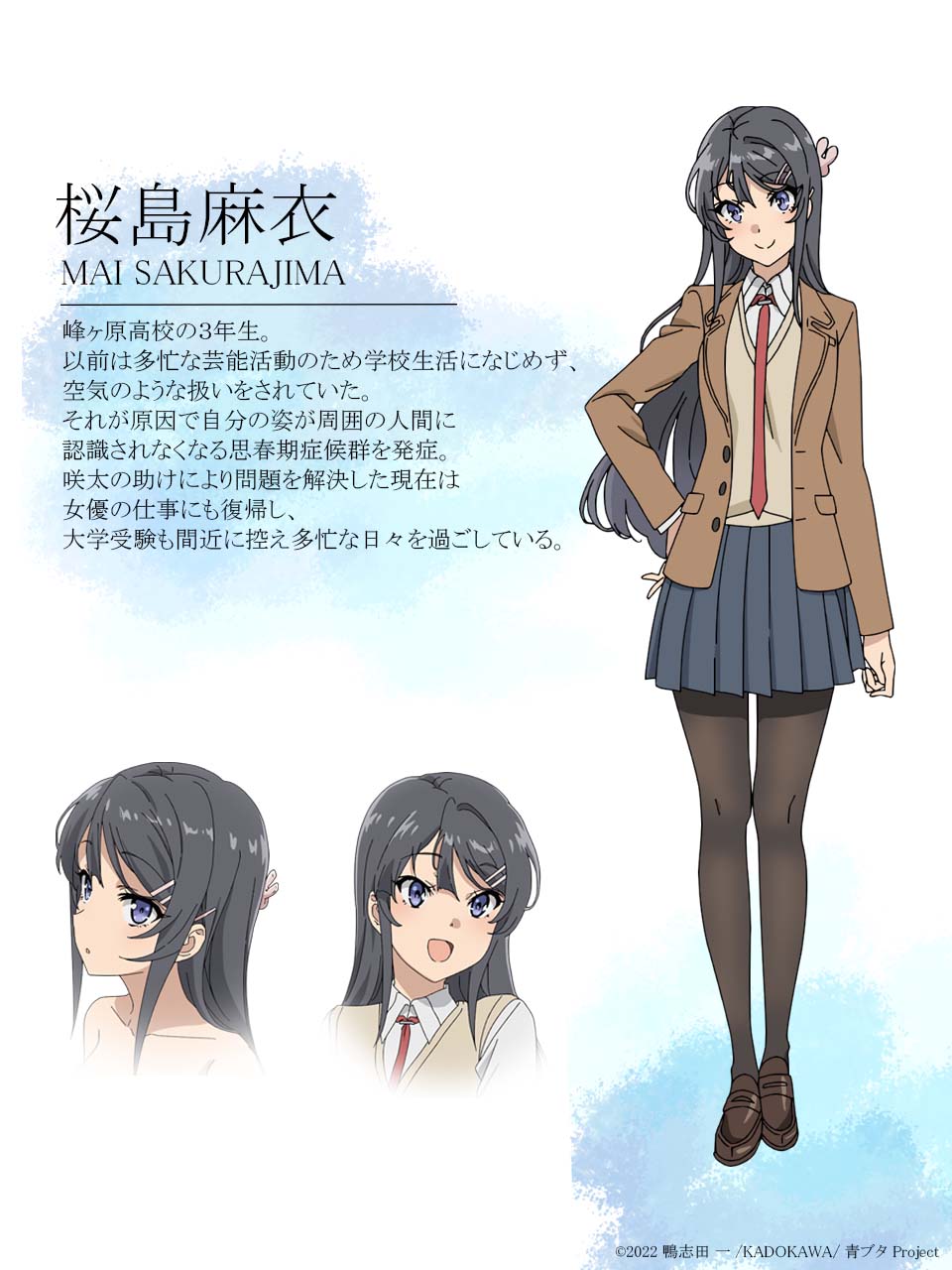 青ブタ桜島麻衣