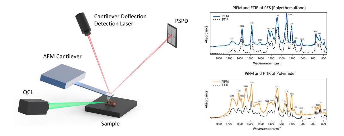 Park_Systems's tweet photo. 𝗣𝗮𝗿𝗸 𝗡𝗫-𝗜𝗥 incorporates the photo-induced force microscopy (#PiFM) from @MolecularVista and is capable of high-resolution IR spectra analysis and IR absorption material imaging for accurate chemical composition measurements: https://t.co/buNgAW36qb
#InfraredSpectroscopy https://t.co/RnayOjEX85