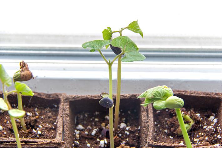 Kids Activities Blog tweet media