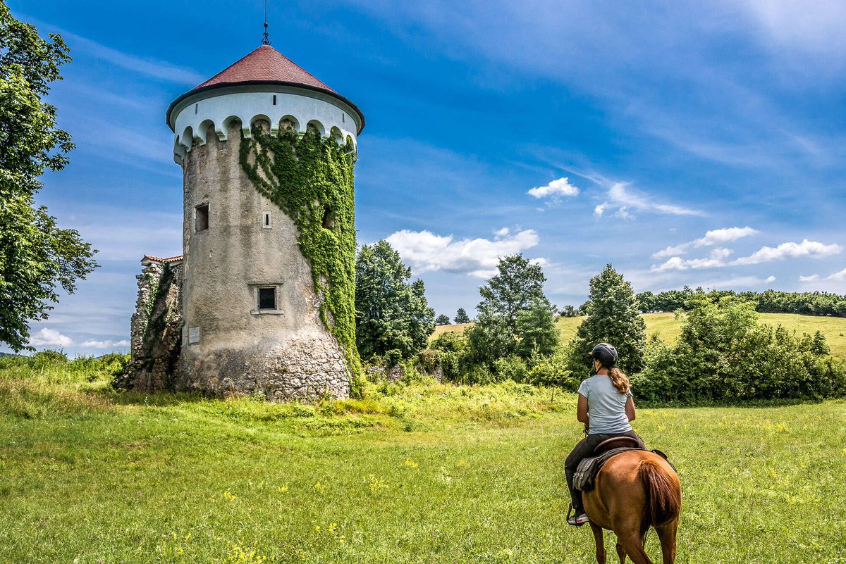 Vous avez besoin d'évasion ? Partez en #Slovenia le 18 mars ! 
+ d’infos ? ➡️cheval-daventure.com/voyages-equest…
⌛️8 jrs (5 à cheval) | 🏇initié.e à confirmé.e - Ouvert aux non cavaliers
#monaventureacheval