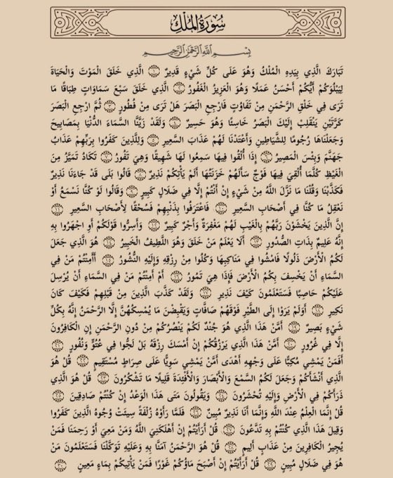 لفاطمه البارودي tweet media