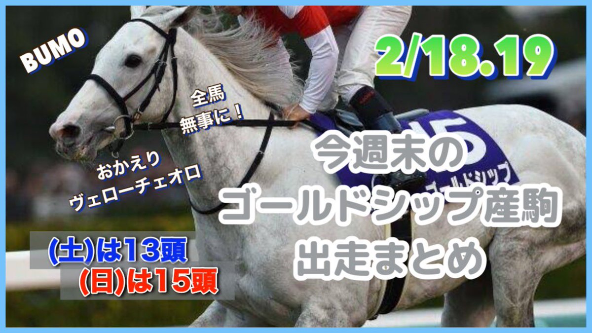 土日のゴールドシップ産駒の結果をコメント欄に投稿しました🙋♀️
https://t.co/8Z3uV34Ur2
今日はワンダークローバーくんが初勝利!!おめでとう🎉🎉☺️
現地応援の皆様、応援お疲れさまでした🙇♀️ゆっくり休んで疲れをとってくださいね✨走ってくれた仔たちもみんな本当にお疲れさま🙏