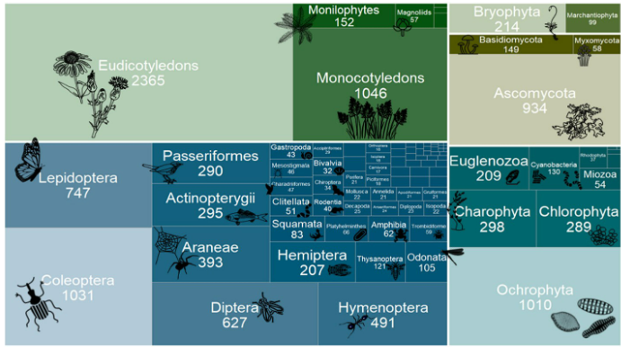 FeliPinheir's tweet image. Publicação quente, compilando a biodiversidade do Bioma Pampa - 9% da biodiversidade brasileira concentrada em 2% de sua área. Participação de colegas da @UnipampaOficial! 
escholarship.org/uc/item/7tp2k8…