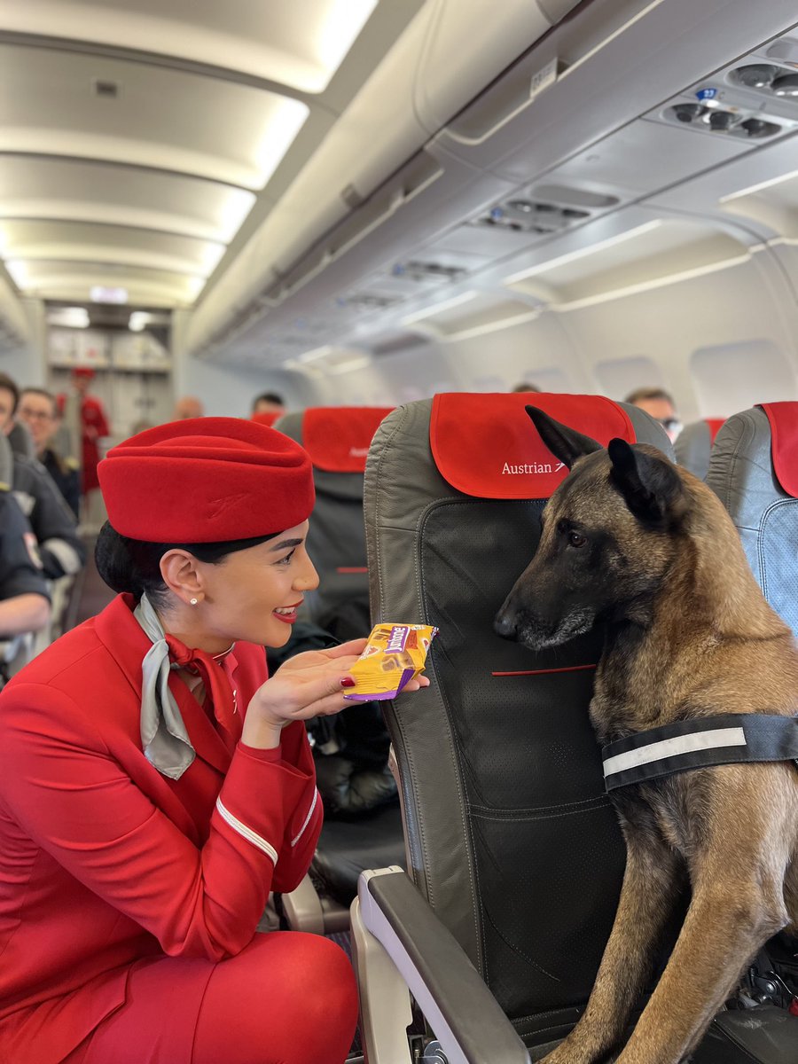 _austrian's tweet photo. Welcome home 🇦🇹
Yesterday, we flew 71 soldiers of a relief contingent of the #AustrianArmedForces from Adana 🇹🇷 back to Vienna. The soldiers &amp; their brave support 🦮🪖 were already lovingly cared for by our crew during the flight back home!
Thank you for this important mission! https://t.co/btFI5jMnWu