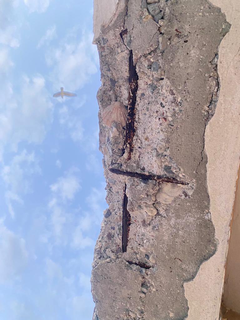 Cerrahpaşa Tıp Fakültesi kolonları bu şekilde. Yıllardır yenileyeceğiz dedikleri binalar bizim mezarımız olacak. Bu binalar yıkılırsa insanlar afette sağlık hizmeti alamayacak. Ders alın!

#CerrahpaşaMezarOlmasın tagine destek bekliyoruz!