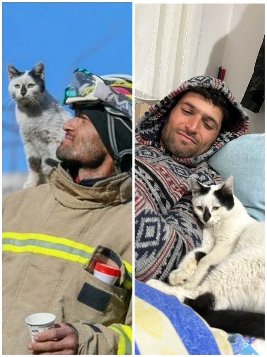 Istanbul__Cats's tweet photo. Do you remember Enkaz ?
He's in good hands and safe. 🐱🙏
#enkaz #earthquake #deprem #turkey https://t.co/sO1mMR1q2e