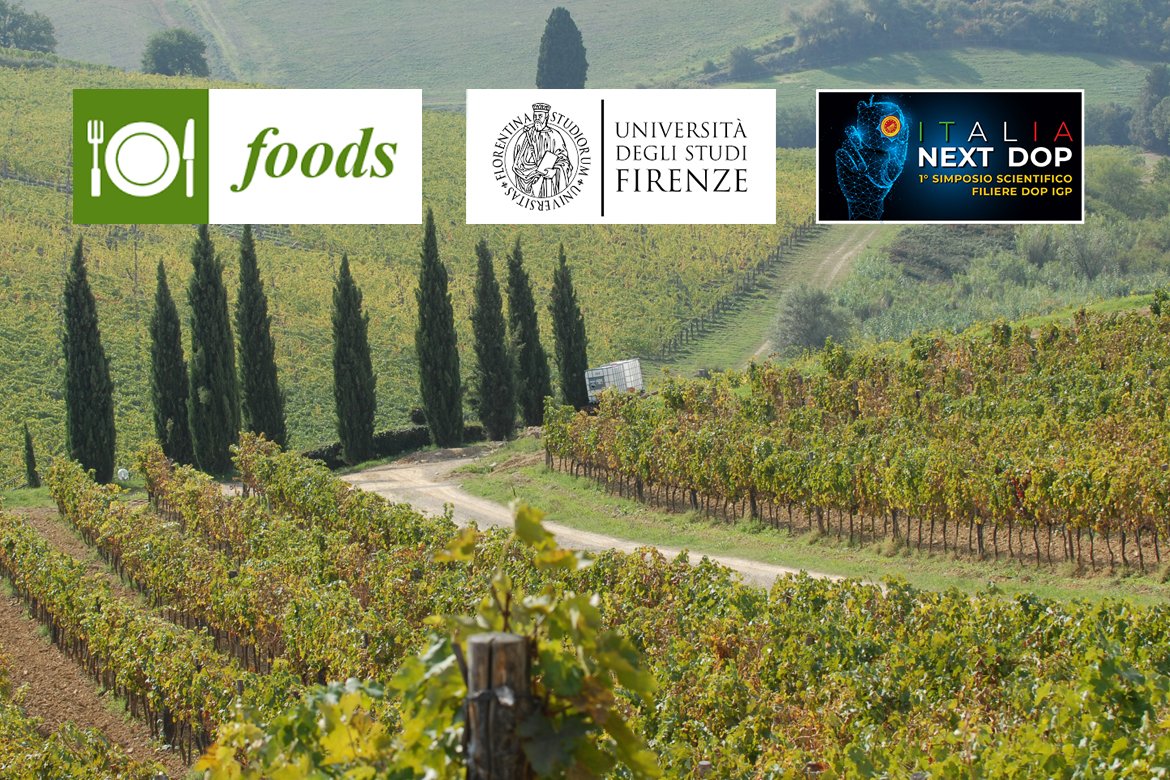 fqualivita's tweet photo. La ricerca di @UNI_FIRENZE ha proposto un approccio per valutare l’impatto dei processi di #produzione biologici, biodinamici e convenzionali sulla qualità intrinseca e percepita nei vini commerciali #Chianti DOCG
👉https://t.co/6CIOQE9nRu
@Chiantidocg #RicercaIG https://t.co/K8WXuqeh6d