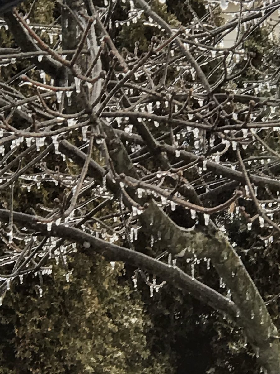mackay9pinky's tweet photo. A glistening morning with ice everywhere. Pretty but dangerous. #WinterNotOver https://t.co/VwLGuY8Ix5