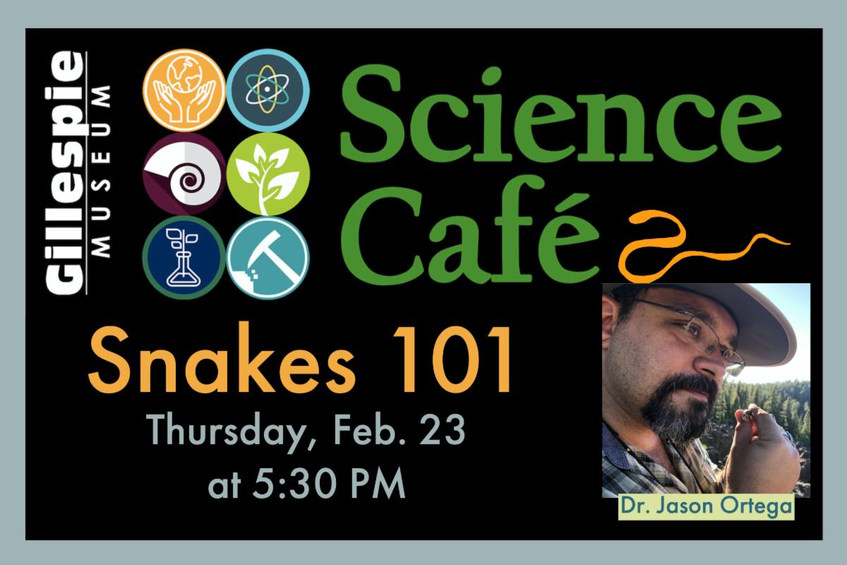 GillespieMuseum's tweet photo. Join us Thursday, Feb. 23, at 6:00 PM for Snakes 101 with Dr. Jason Ortega (Stetson University, Biology Department)!

RSVP in this week's newsletter:
https://t.co/zt59Ujnsh7 https://t.co/rdP1093rz8