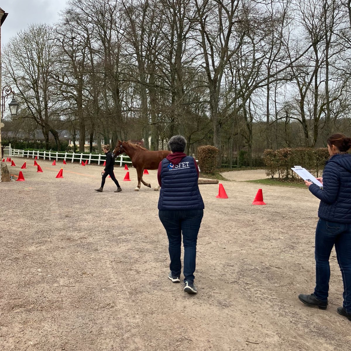 's tweet image. 👀 Les stagiaires ont pu travailler à l’observation des chevaux et ânes du Centre de Valorisation : comportement de l'équidé lors de la préparation et sur un parcours avec des obstacles, afin d’apprendre à évaluer les aptitudes des équidés de travail.

#harasdupin #normandie