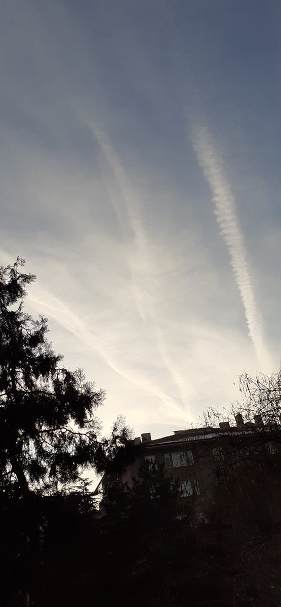 Firdes Gundeger (@firdesgundeger) on Twitter photo 