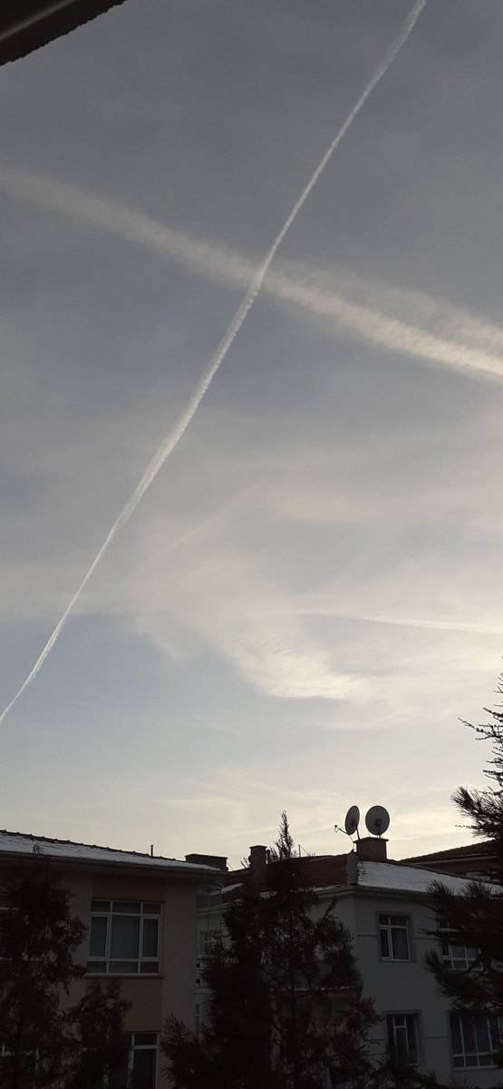 Firdes Gundeger (@firdesgundeger) on Twitter photo 