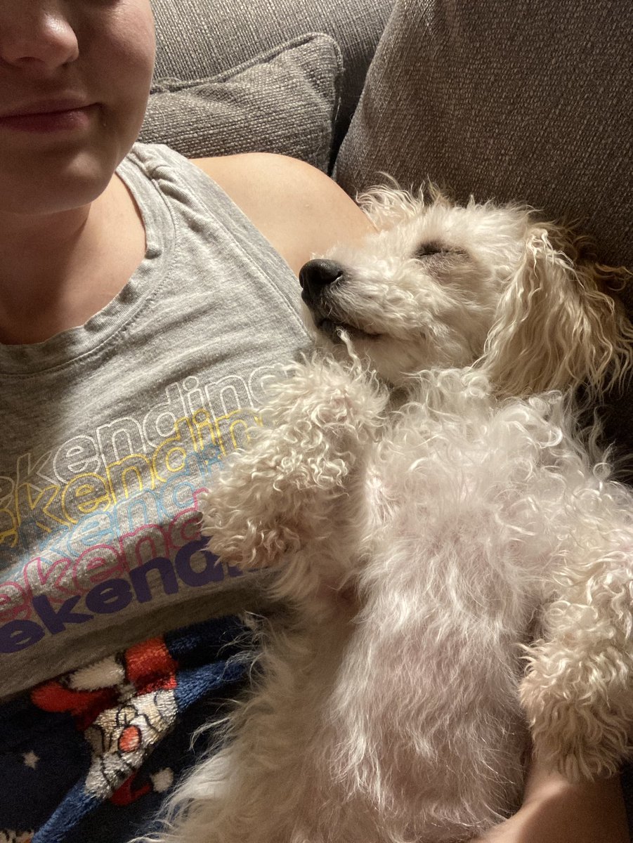 ClawsFins's tweet photo. Noodles update! She has been with us two weeks and is doing fantastic! She is more brave and outgoing than I thought she would be and loves the big dogs.  The only things she has had an issue with so far are men in hats, and the smoke alarm, but we are working on both of those. https://t.co/Qb3iOpcNFu
