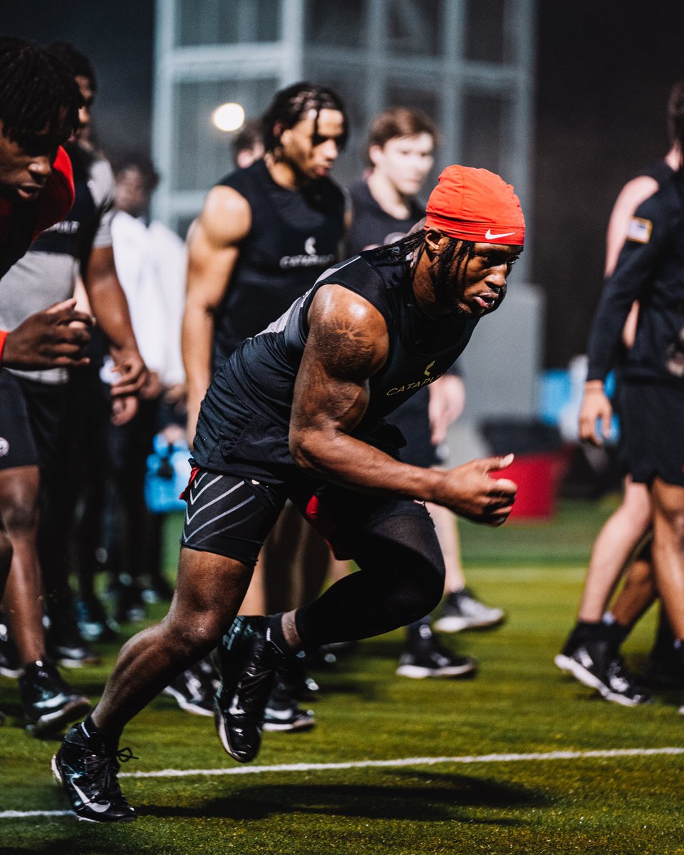 Georgia Football tweet media