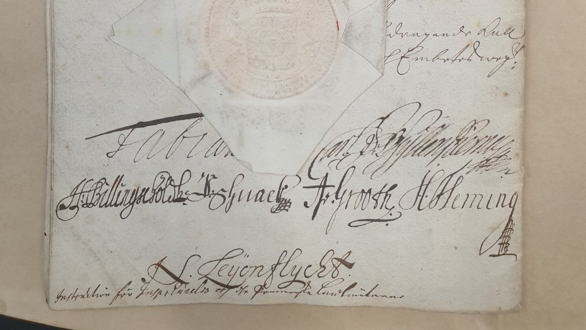 Let's end this week with an assortment of fancy signatures from 1691! Which of these capture that #fridayfeeling best? 🧐Personally I am partial to Leyonflycht's at the very bottom - lots of personality! 🦁✒️ /Maria