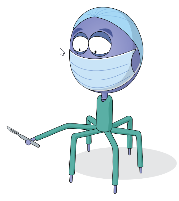 NatureRevMicro's tweet photo. 📢Bacteriophage discovery to advance biotechnology and biotherapeutics

This Genome Watch explores how large-scale microbiome studies facilitate discoveries in phage biology and functional capabilities that are key for translation towards advances in biotechnology &amp; therapeutics https://t.co/QY3qepslu1