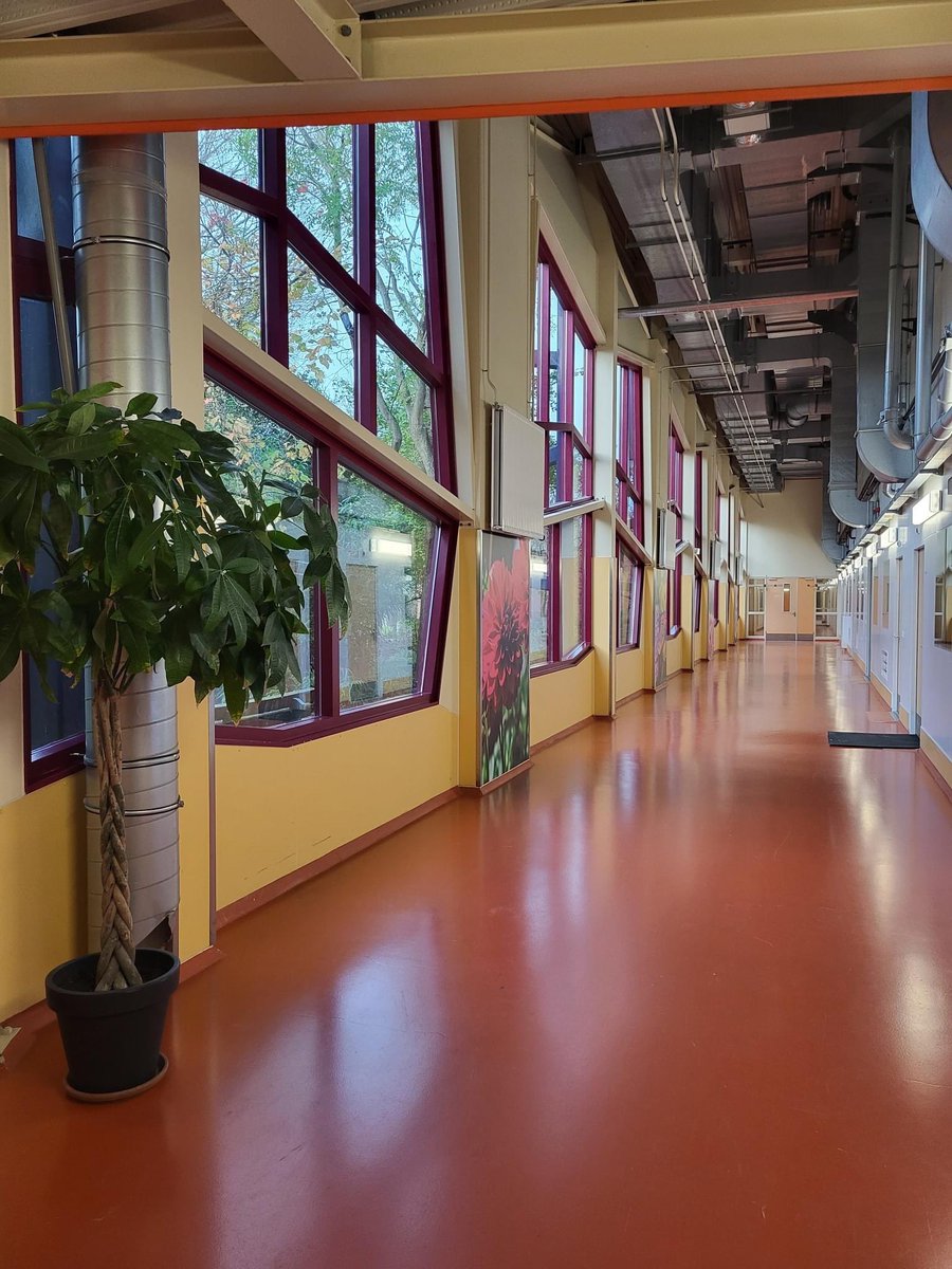 ondernemerstuin's tweet photo. Neem ambitieuze #ondernemers op het gebied van Food, Health, Sport, Innovatie en Technologie, ‘plant’ ze samen in een vruchtbare omgeving vol goede grondstoffen, dan krijg je: een florerende OndernemersTuin. Wil jij je ook bij ons vestigen? Wij hebben diverse ruimten #beschikbaar https://t.co/lUVdrXsHN3