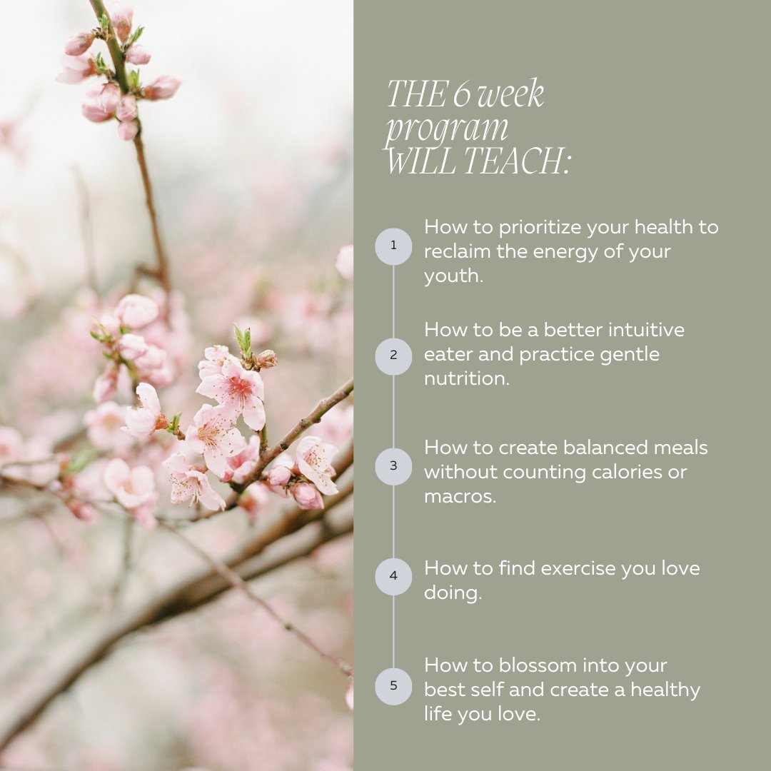 KathEats's tweet image. Introducing Bloom 🌺 Learn all about it at katheats.com/bloom

#wellnessprogram #intuitiveeating #eatrealfood #healthyliving