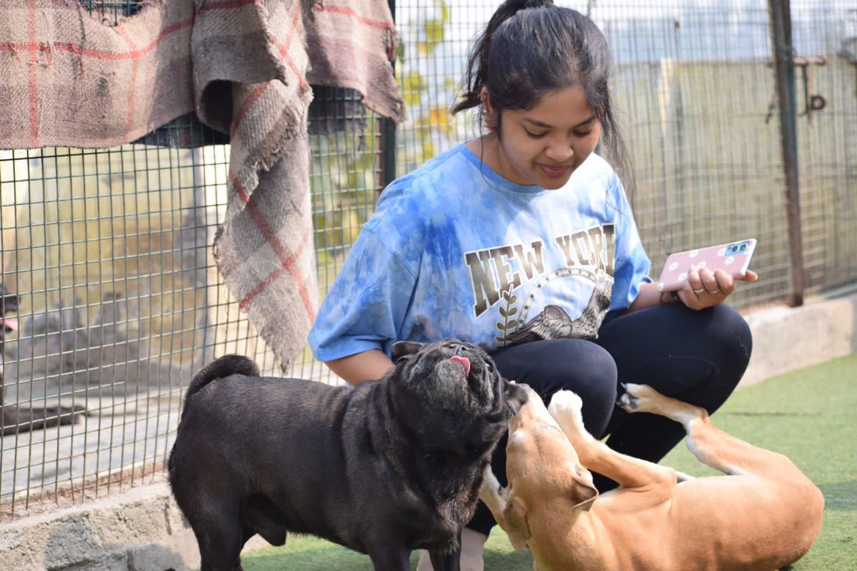 kawfoundation's tweet photo. A day at KAW is always filled with love and hope!

While most people hold shelters to be places filled with pain &amp; misery, they are much contrary to this largely held misconception.

Full post:
https://t.co/tvZZxv1q2x
#Love #FYP #dog #HEAVEN https://t.co/JUXItnkukY