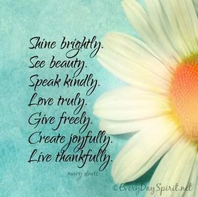 LeAnnKrzyzanow1's tweet photo. Good Morning... Smile a little more today. #YourPeace https://t.co/PYpthrk3Pr