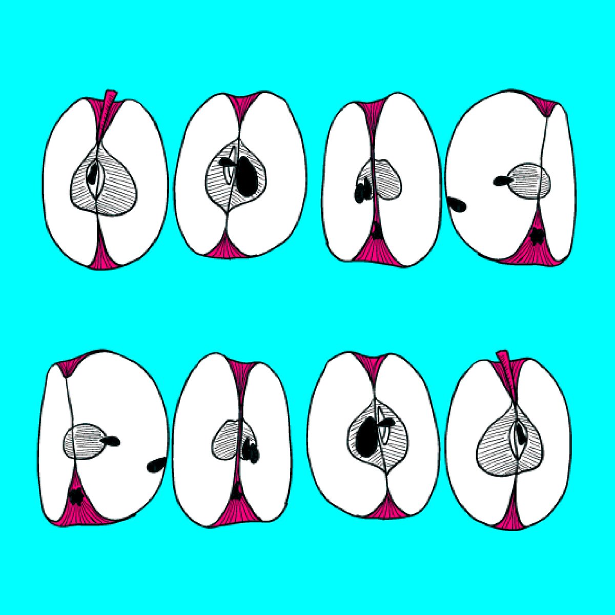 Gardez une collation saine avec vous pour ne jamais avoir trop faim. Essayez d'avoir à portée de main une collation riche en protéines ou en fibres comme une trempette au houmous, des légumes, des noix, une salade de haricots ou une pomme.