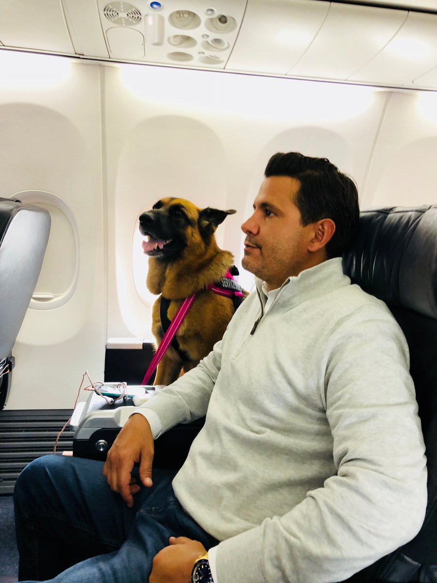 Sen. Jason Pizzo tweet media