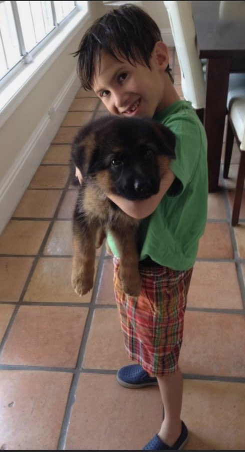 Sen. Jason Pizzo tweet media