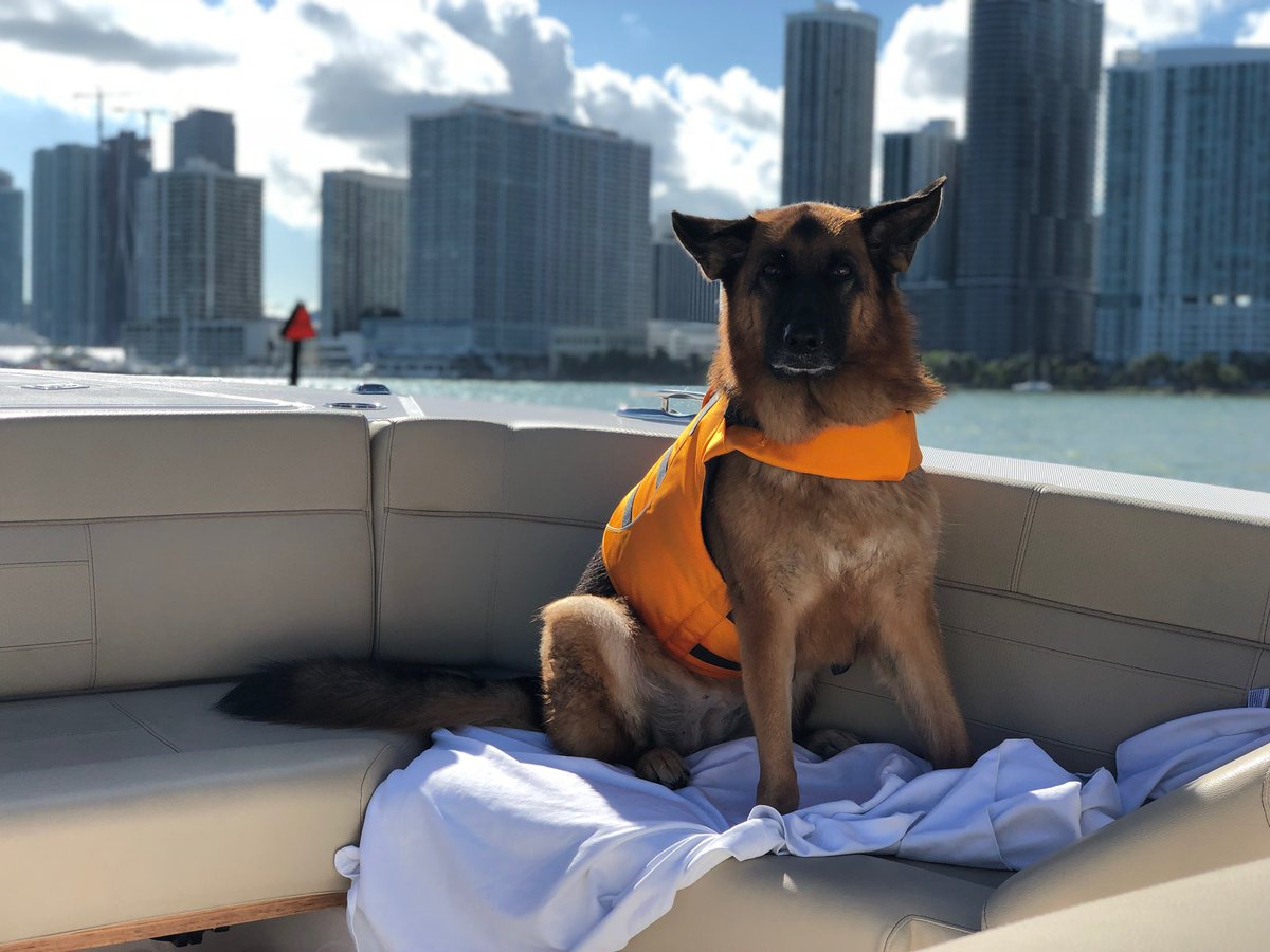 Sen. Jason Pizzo tweet media