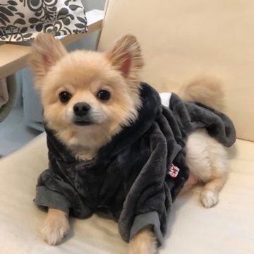 몽 tweet media
